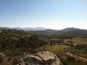 IMG_1210
